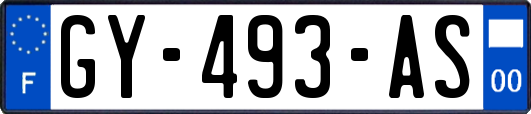 GY-493-AS