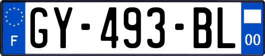 GY-493-BL