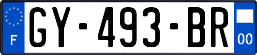 GY-493-BR
