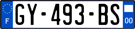 GY-493-BS