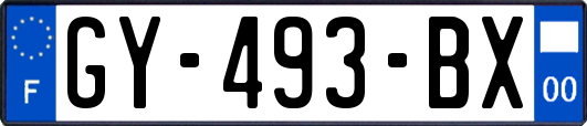 GY-493-BX