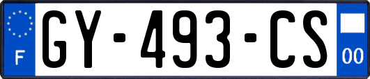 GY-493-CS