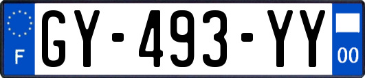 GY-493-YY