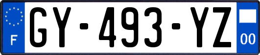 GY-493-YZ