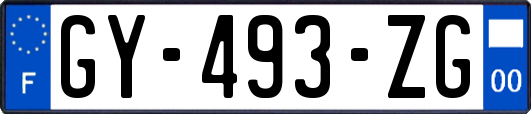 GY-493-ZG