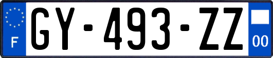 GY-493-ZZ