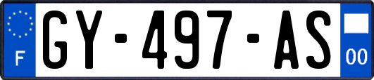 GY-497-AS