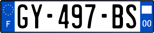 GY-497-BS