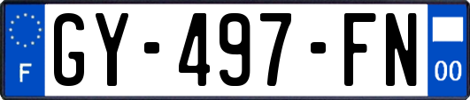 GY-497-FN