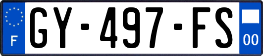 GY-497-FS