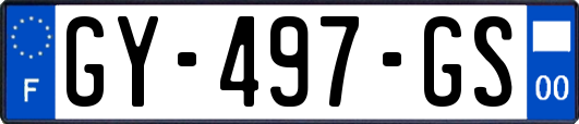 GY-497-GS