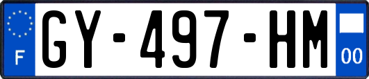 GY-497-HM