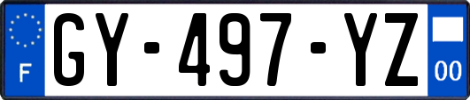 GY-497-YZ