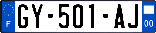 GY-501-AJ