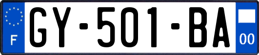GY-501-BA