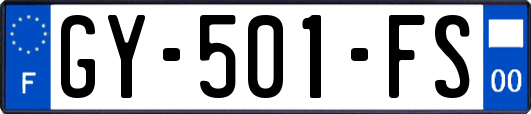 GY-501-FS