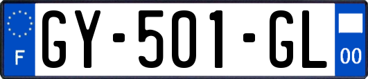 GY-501-GL