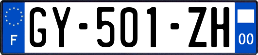 GY-501-ZH