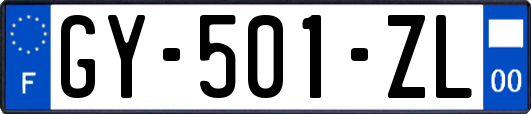 GY-501-ZL