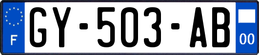 GY-503-AB