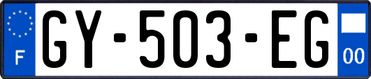 GY-503-EG