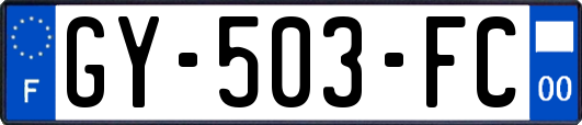 GY-503-FC