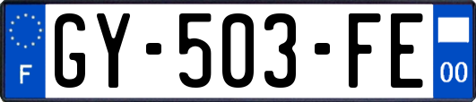 GY-503-FE