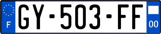 GY-503-FF