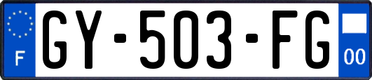 GY-503-FG
