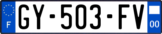 GY-503-FV