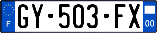 GY-503-FX
