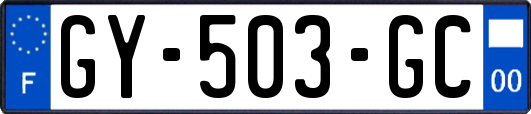 GY-503-GC