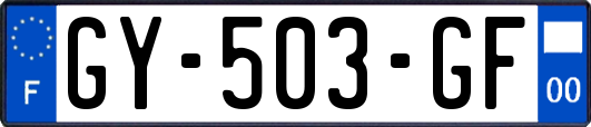 GY-503-GF