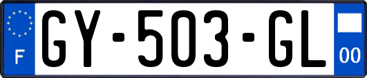 GY-503-GL