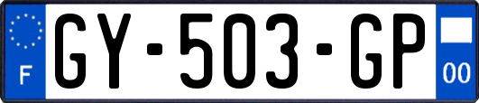 GY-503-GP