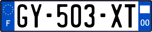 GY-503-XT