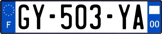 GY-503-YA