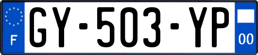 GY-503-YP