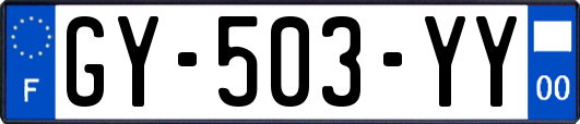 GY-503-YY
