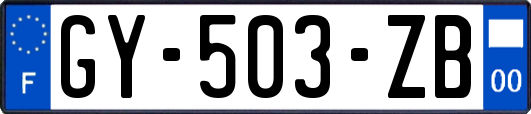 GY-503-ZB