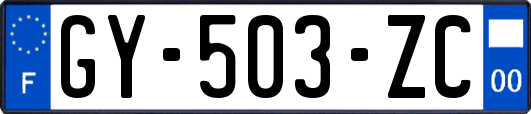 GY-503-ZC