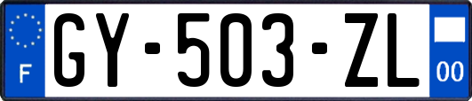 GY-503-ZL