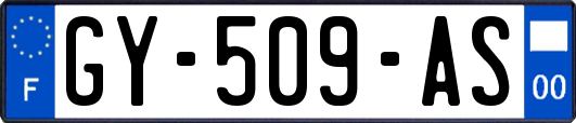 GY-509-AS