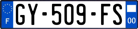 GY-509-FS