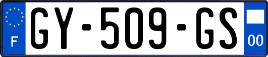 GY-509-GS