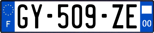 GY-509-ZE