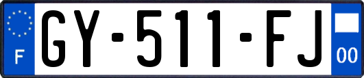GY-511-FJ