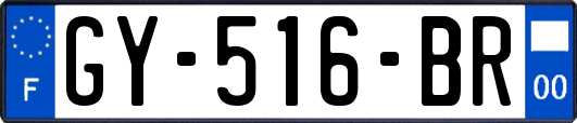 GY-516-BR