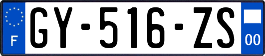 GY-516-ZS