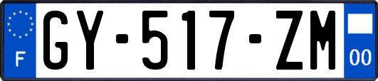 GY-517-ZM